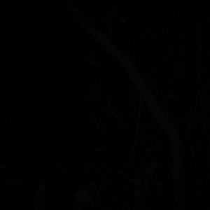 Meet your Posher, Kenny